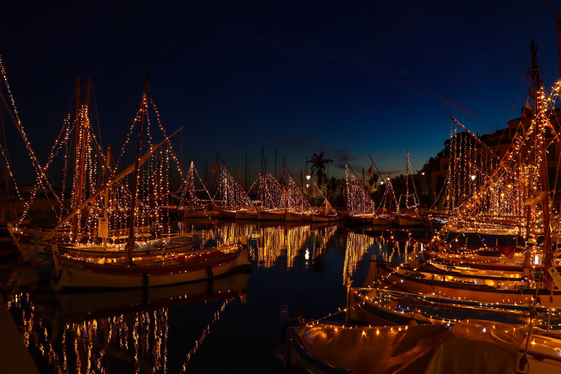 3. Pointus Illuminés - 26.11.24