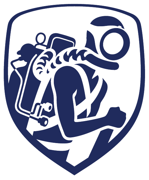 Logo Bleu Musée Dumas
